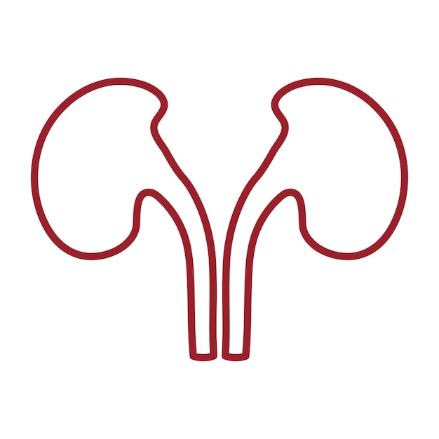 Illustration Vectorielle De L'icône Du Rein