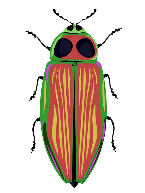 Illustration Vectorielle D'insecte Euchroma Gigantea