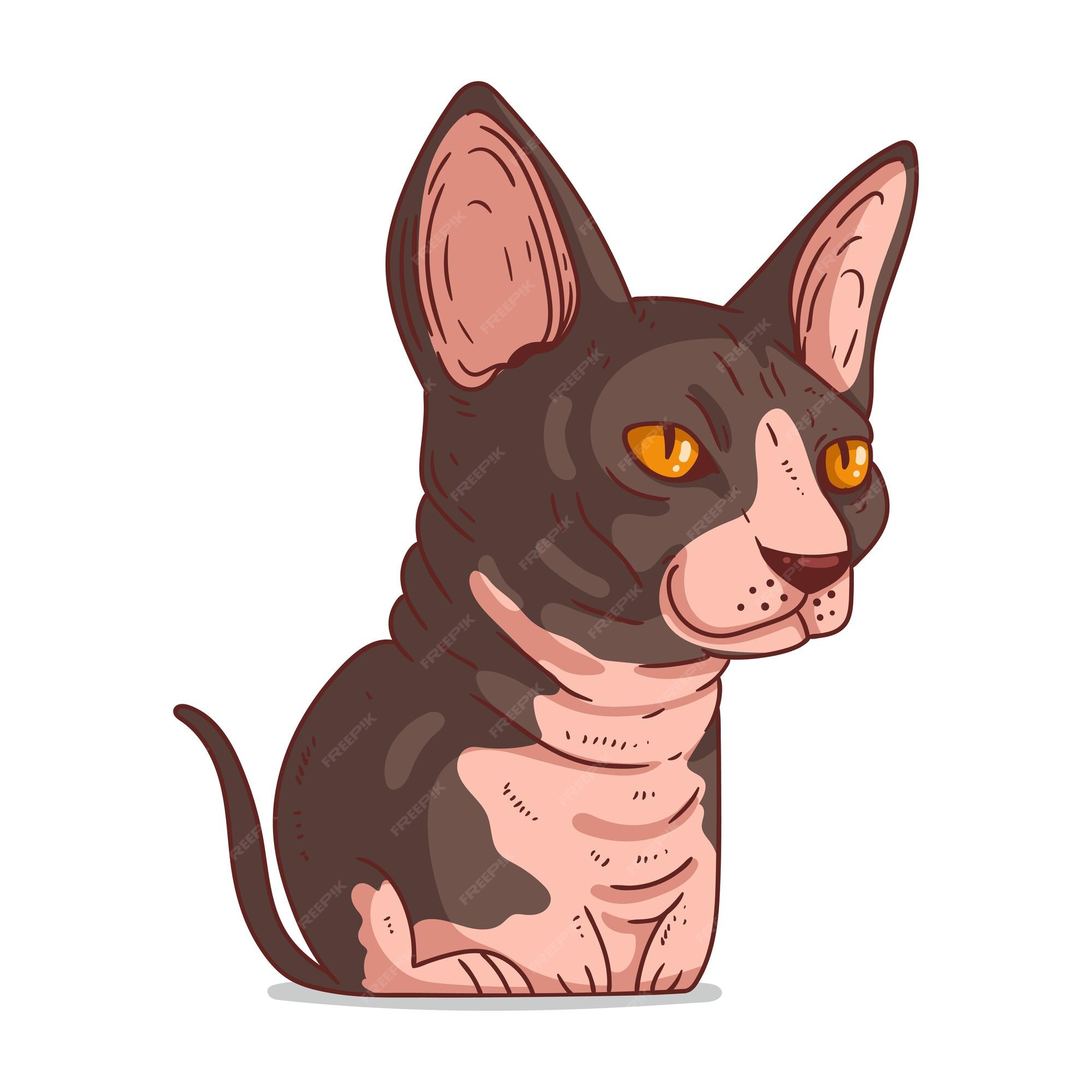 Images Chat Sans Poils Sphynx Vecteurs Photos Et Psd Gratuits