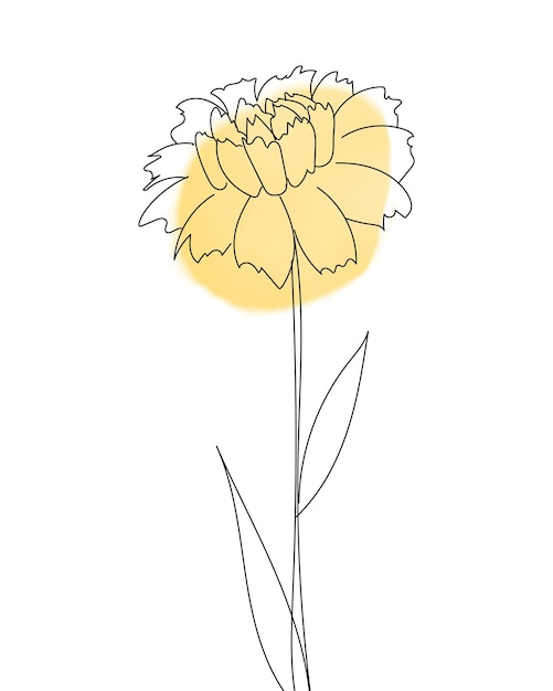 Illustration vectorielle isolée de fleur aquarelle avec ligne noire. Décoration design, cartes postales