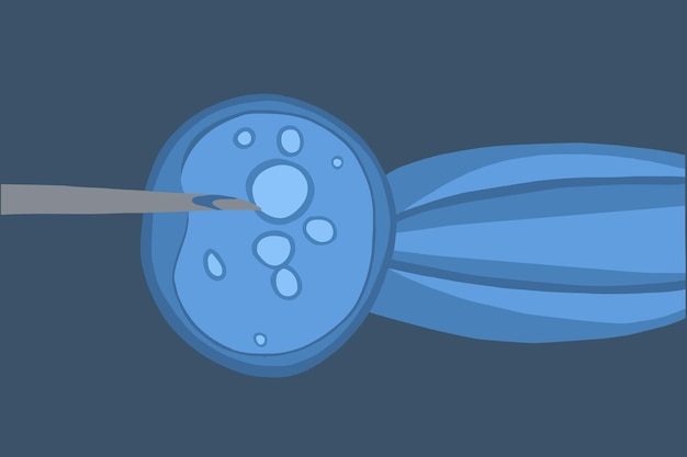 Vecteur illustration vectorielle isolée de l'insémination artificielle au microscope don d'ovules