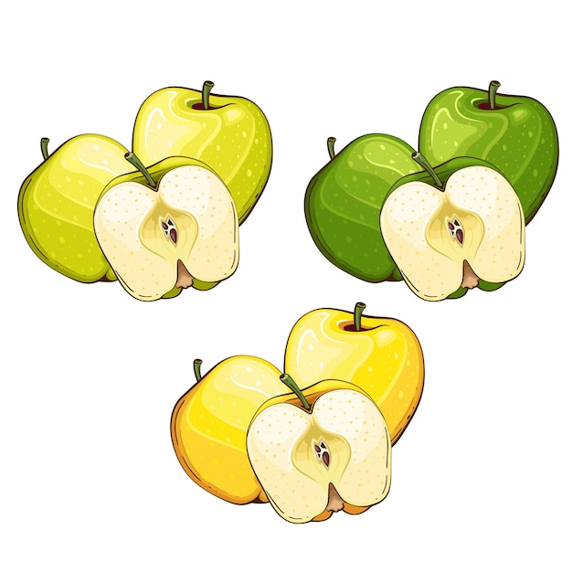 Illustration vectorielle isolée de pomme Fruits illustrations colorées isolées sur fond blanc Fru