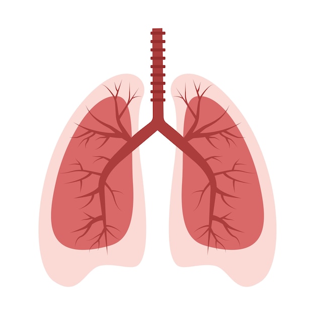Illustration vectorielle Journée mondiale de l'asthme Poumons en bonne santé