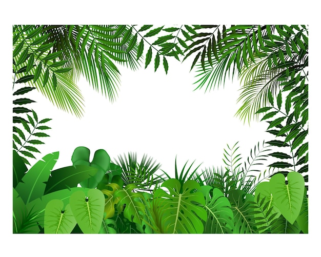 Illustration vectorielle de la jungle sur fond blanc