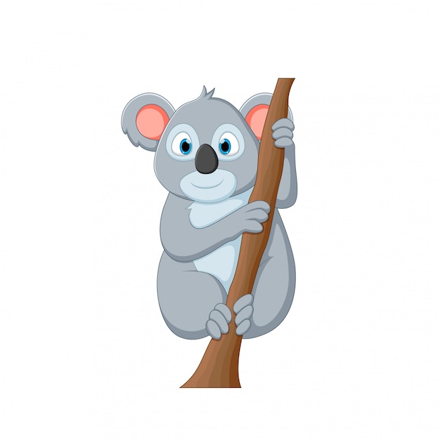 Illustration Vectorielle D'un Koala De Dessin Animé