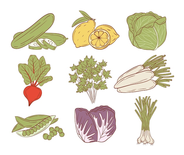 Illustration Vectorielle De Légumes