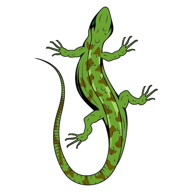 Illustration vectorielle de lézard d'un petit logo de reptile Gecko