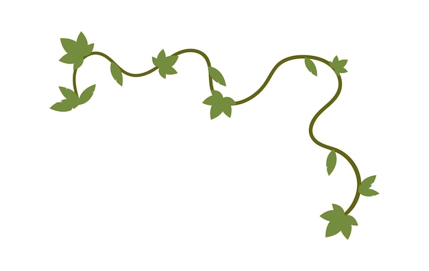 Vecteur illustration vectorielle de liane jungle vigne dessinée à la main