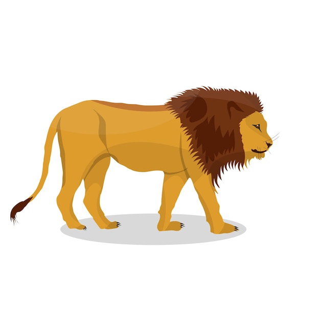 Illustration Vectorielle Lion Sur Fond Blanc