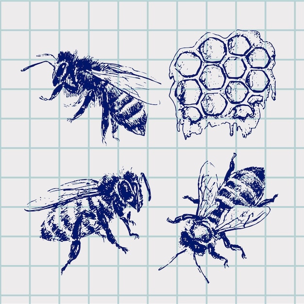 Illustration Vectorielle De Miel Noir Croquis Abeille Dessiné Main