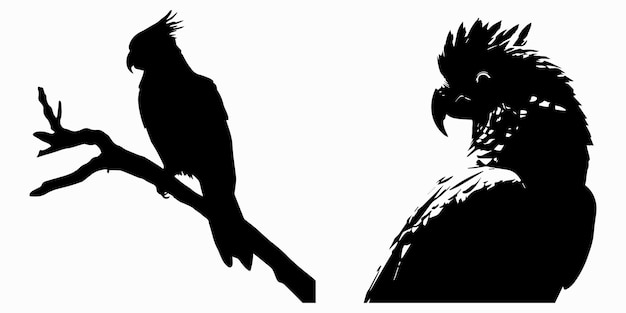 Vecteur illustration vectorielle de modèle oiseau noir silhouette