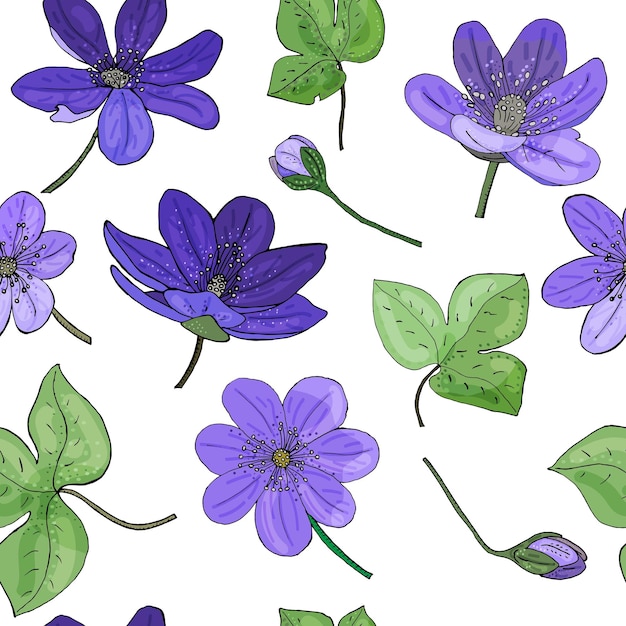 Illustration vectorielle d'un modèle sans couture de fleurs Hepatica nobilis Des éléments isolés botaniques brillants sont dessinés à la main sur un fond blanc Primroses perce-neige renoncules chrysanthèmes