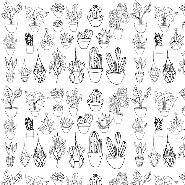 Illustration vectorielle d'un modèle sans couture de plantes d'intérieur à la mode dans des pots