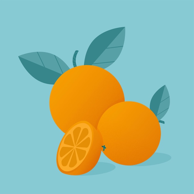 Illustration Vectorielle Moderne D'oranges