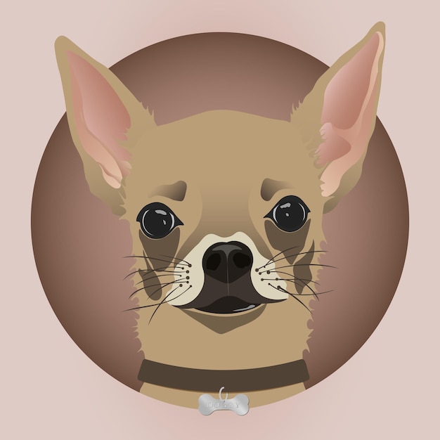 Illustration vectorielle modifiable du chien chihuahua en EPS10