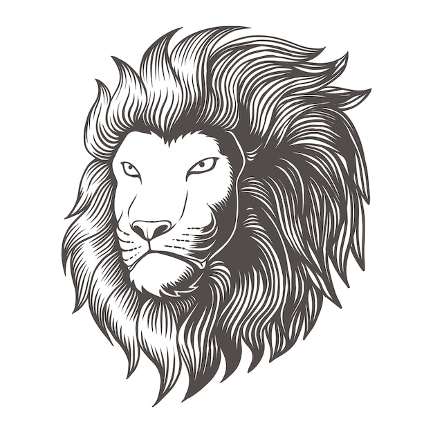 Illustration Vectorielle Monochrome Tête De Lion