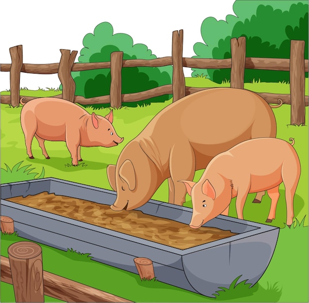 Vecteur illustration vectorielle montrant des cochons dans une ferme mangeant de la nourriture