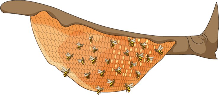 Vecteur illustration vectorielle montrant une ruche avec beaucoup d'abeilles