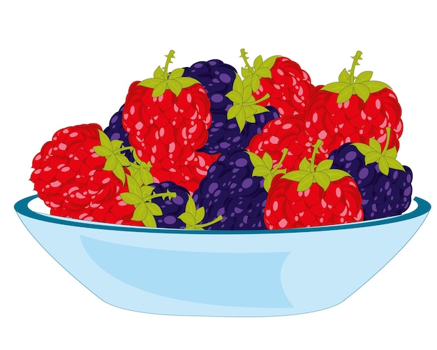 Vecteur illustration vectorielle de la mûre berry et framboise sur plaque