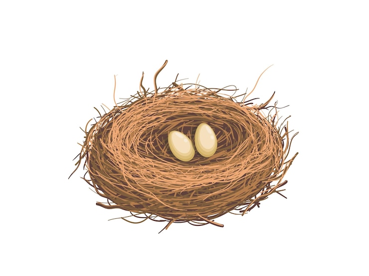 Vecteur illustration vectorielle d'un nid d'oiseau dessiné à la main qui contient des œufs