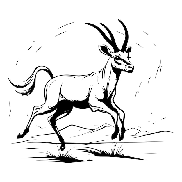 Vecteur illustration vectorielle en noir et blanc de l'antilope gemsbok