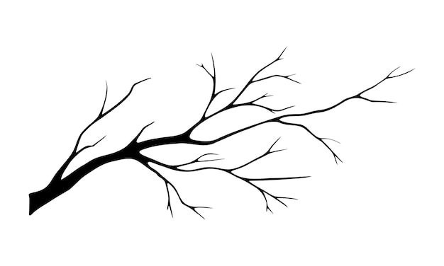 Illustration vectorielle en noir et blanc d'une branche sèche vide isolée sur un fond blanc