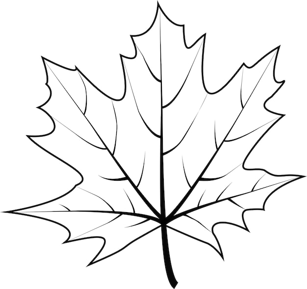 Illustration vectorielle noir et blanc d'une feuille d'érable. Illustration d'automne. Une idée pour un logo, mode