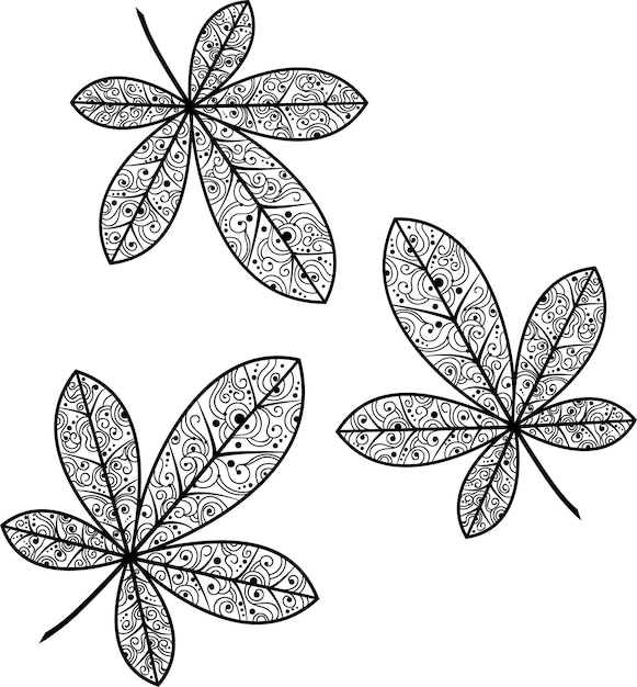 Illustration Vectorielle Noir Et Blanc De Feuilles De Châtaignier. Illustration D'automne