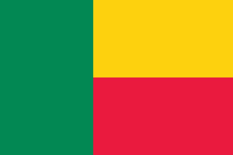 Vecteur illustration vectorielle des normes officielles de taille et de couleur du drapeau du bénin