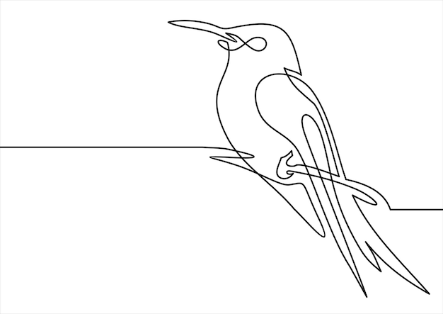 Illustration Vectorielle D'oiseau De Ligne Continue Dessin Au Trait Concept Pour Affiche De Bannière De Carte De Logo