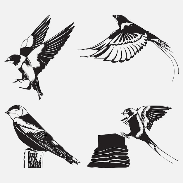 Illustration Vectorielle Oiseau