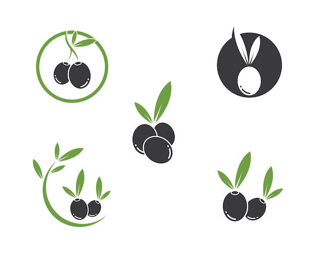 Illustration Vectorielle D'olive Logo Icône