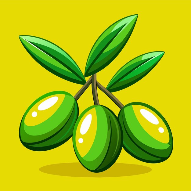 Vecteur illustration vectorielle de l'olive verte