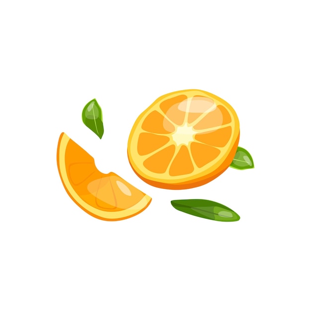 Illustration vectorielle d'une orange coupée Source de vitamine C