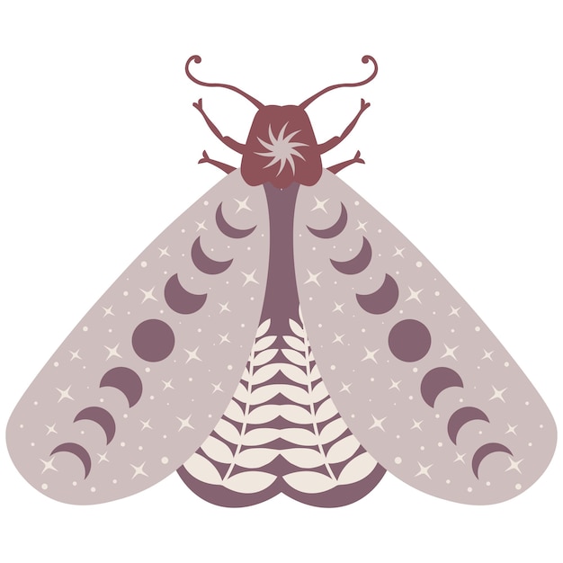 Vecteur illustration vectorielle papillon céleste. papillon luna mystique avec phases de lune. insecte floral magique