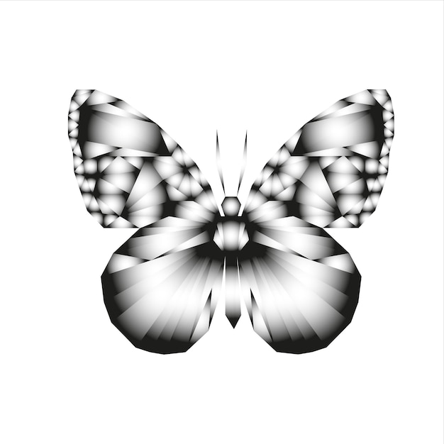 Illustration Vectorielle Papillon Sur Fond Blanc