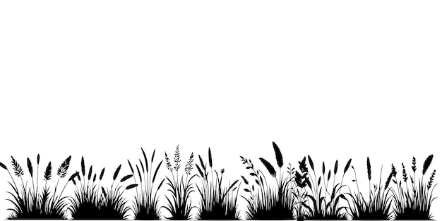 Illustration Vectorielle De La Pelouse Cultivée Sur Fond Blanc