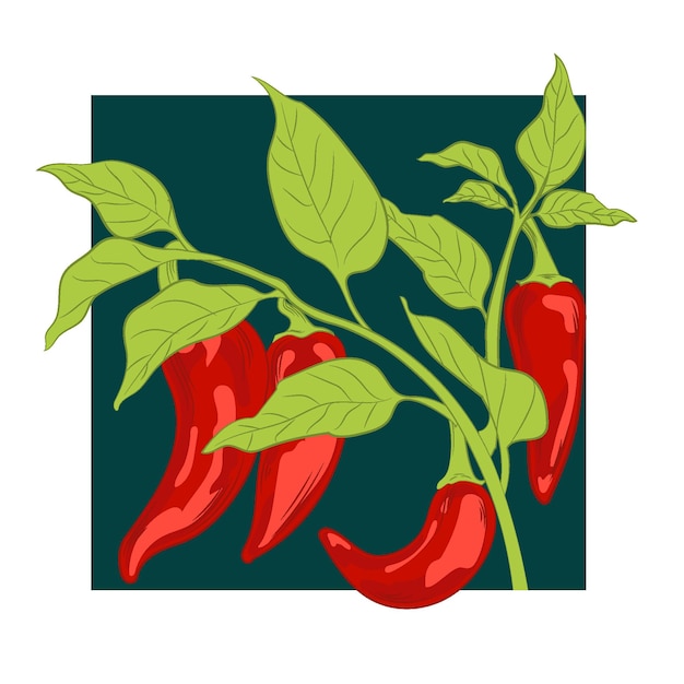 Illustration Vectorielle De Piment Dans Le Style Du Minimalisme Plat.