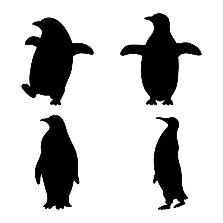 Illustration vectorielle de pingouin silhouette