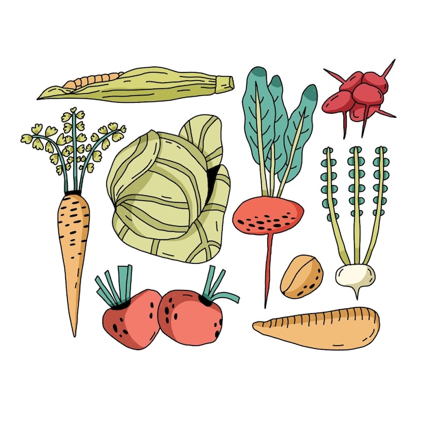 Illustration Vectorielle Plane Dessinée à La Main De Légumes Du Marché Des Agriculteurs Croquis Minimal D'aliments Biologiques