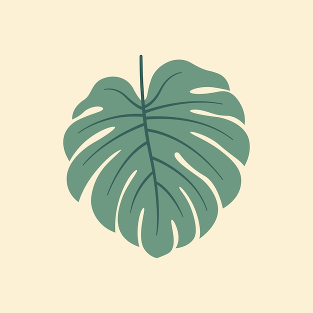 Vecteur illustration vectorielle plane monstera sur fond isolé feuilles tropicales illustration vectorielle plane