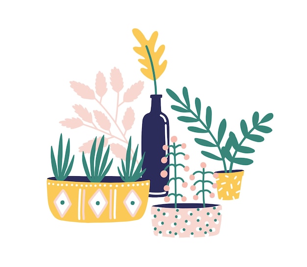 Illustration Vectorielle Plane De Plantes D'intérieur En Pot. Plantes Succulentes, Fleurs Et Herbes Vertes Pour La Décoration De La Maison Isolées