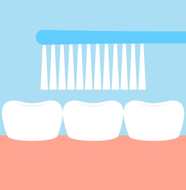 L'illustration Vectorielle Plate Du Brossage Des Dents L'hygiène Buccale Le Concept De Soins Dentaires