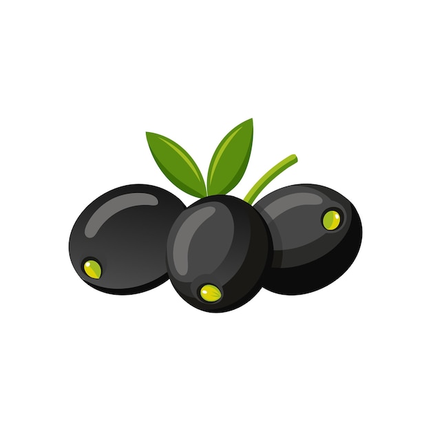 Illustration vectorielle plate isolée d'olives noires sur fond blanc
