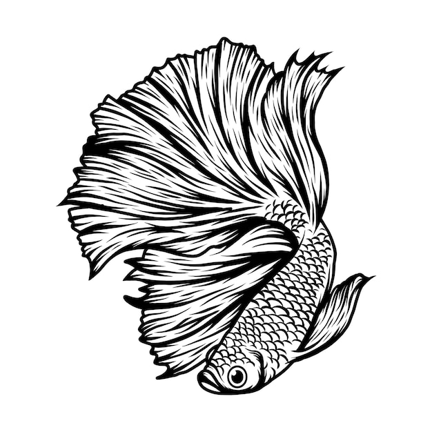 Illustration Vectorielle De Poisson Betta