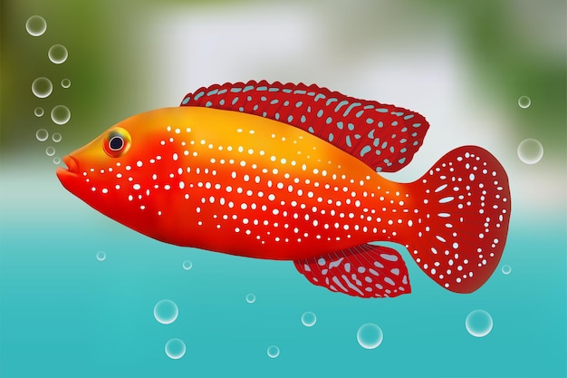 Vecteur illustration vectorielle de poisson rouge
