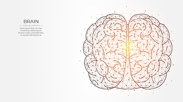 Illustration Vectorielle Polygonale Abstraite Du Cerveau Humain Sur Fond Clair