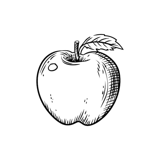 L'illustration vectorielle de la pomme.