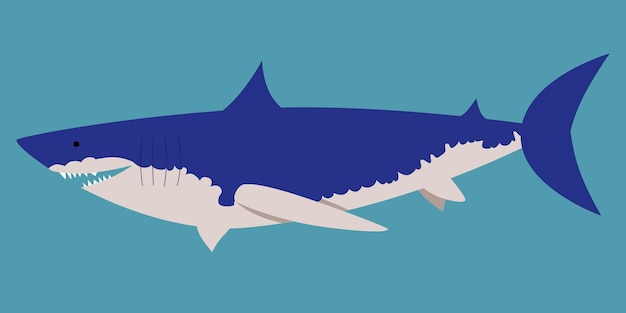 Illustration Vectorielle D'un Requin Dans Un Style Plat Isolé Sur Fond Bleu