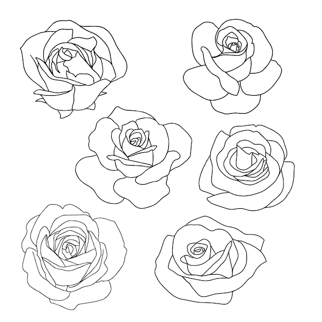 Illustration vectorielle de rose doodle dessinés à la main pour carte de voeux